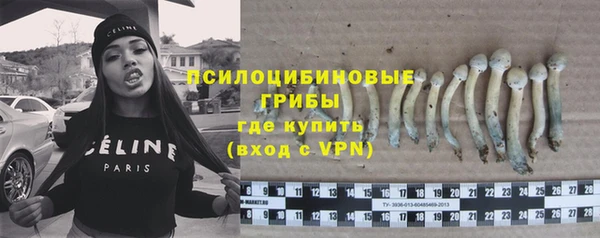 ALPHA-PVP Каменка