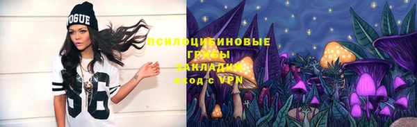стаф Каменск-Шахтинский