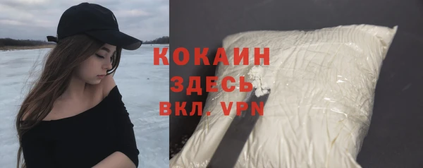 стаф Каменск-Шахтинский