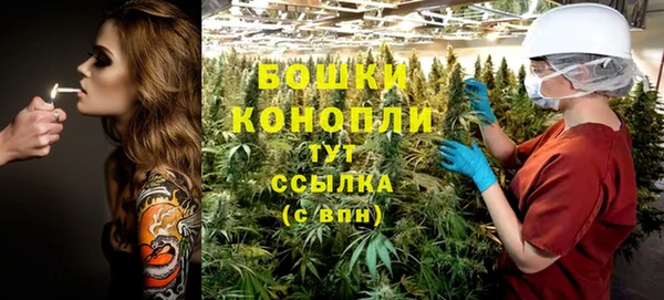 стаф Каменск-Шахтинский