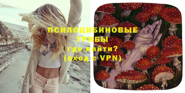 бутират Каменногорск