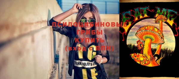 стаф Каменск-Шахтинский
