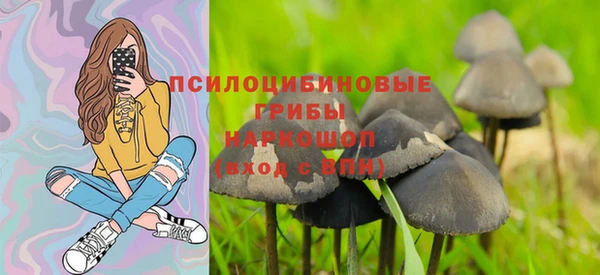 стаф Каменск-Шахтинский