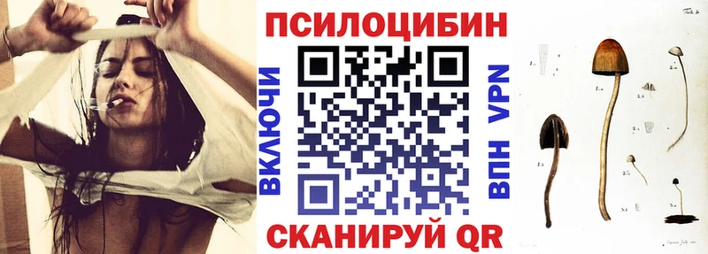 Галлюциногенные грибы мицелий  Купить где  Гусь-Хрустальный 