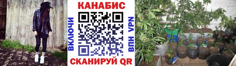 Купить  Гусь-Хрустальный  Марихуана планчик 